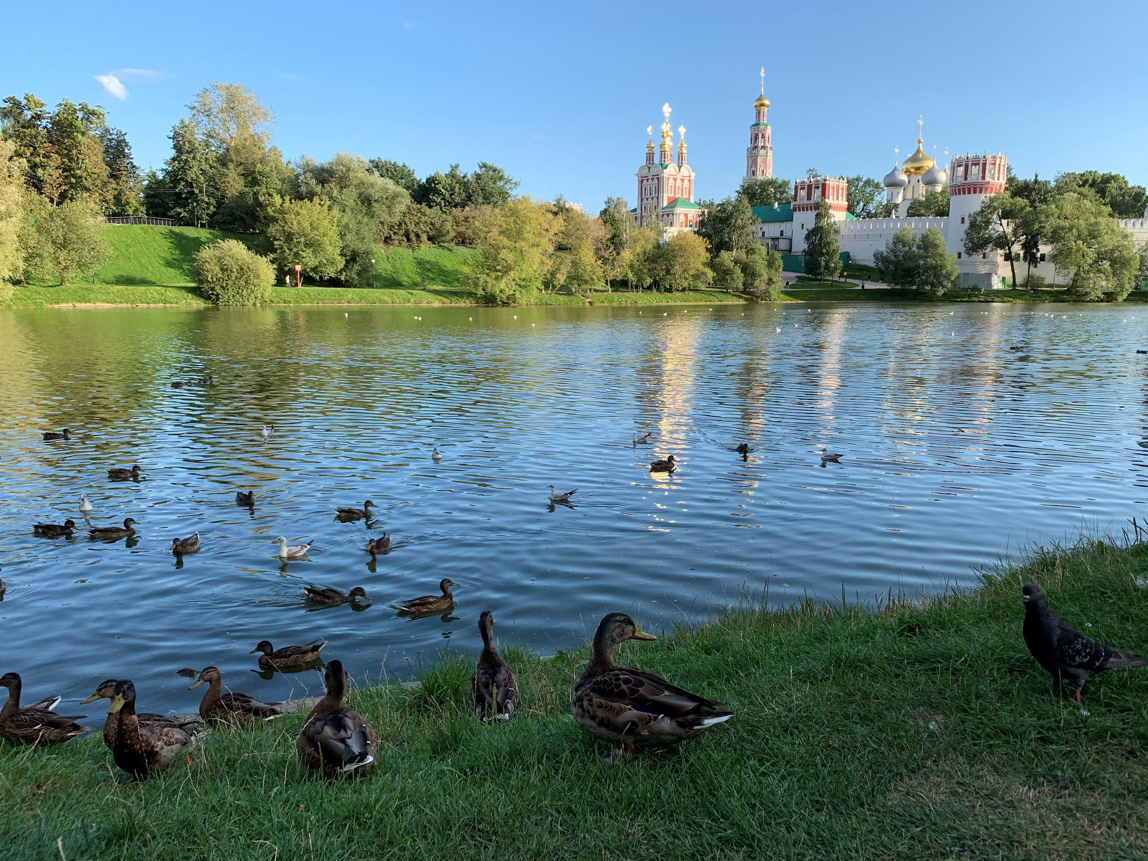 Novodevichy